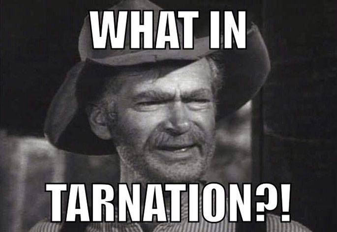 What in tarnation meme